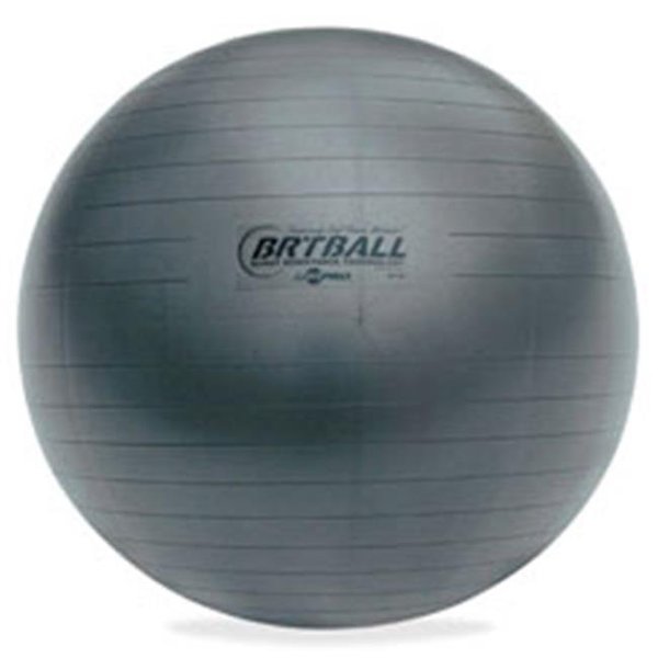 Champion Sports Champion Sports CSIBRT53 Gray Training-Exercise Ball; 20.87 in. CSIBRT53